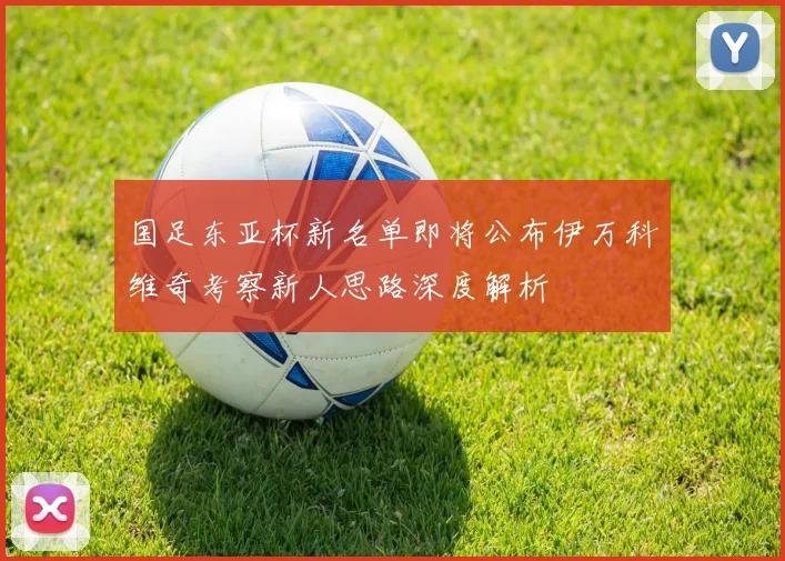国足东亚杯新名单即将公布伊万科维奇考察新人思路深度解析